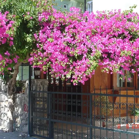Sevgi Hotel Sarigerme