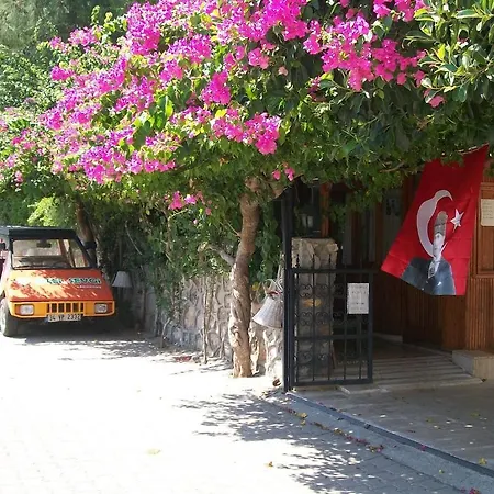 Sevgi 3*
