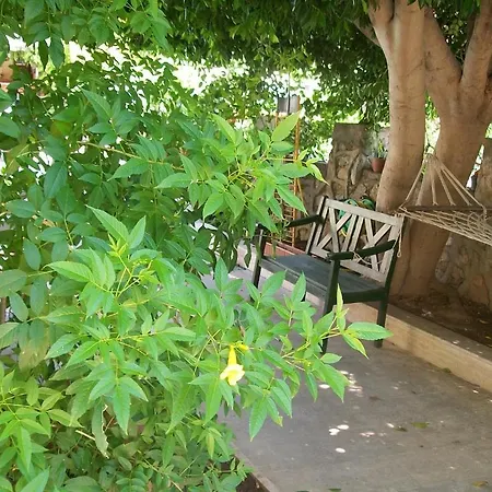Sevgi 3* Sarigerme
